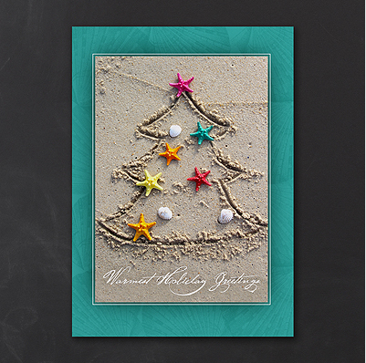 Seashell Christmas Cards